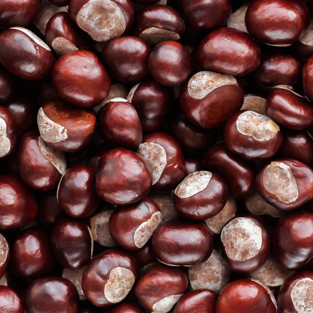 Nuts